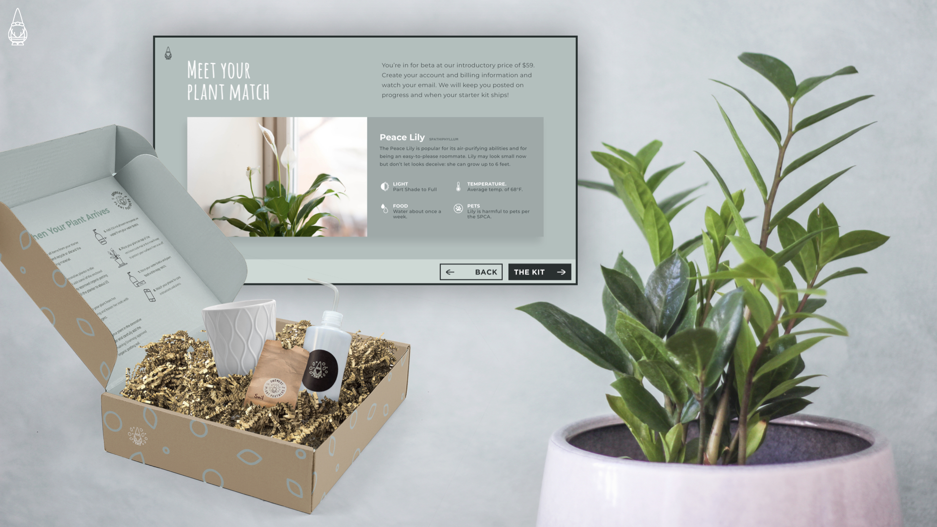 Introductory Price At Just $69 - Houseplant (1920x1080), Png Download