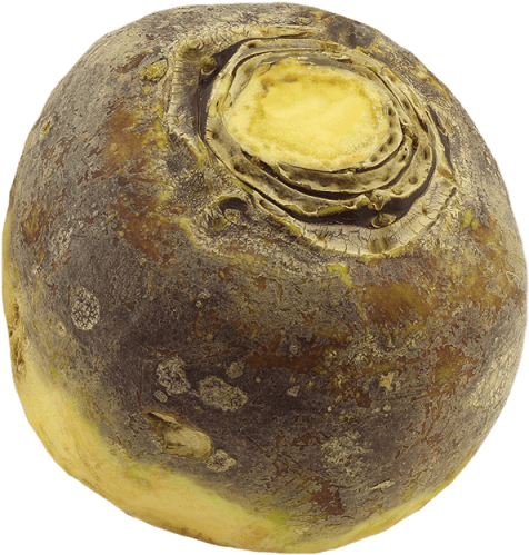 1 Unit - Turnip (640x640), Png Download