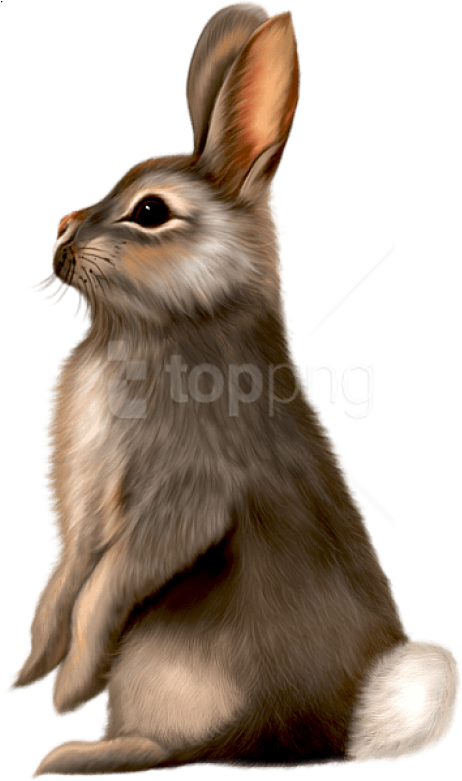 Free Png Painted Brown Bunny Png Images Transparent - Brown Bunny Clipart (480x783), Png Download
