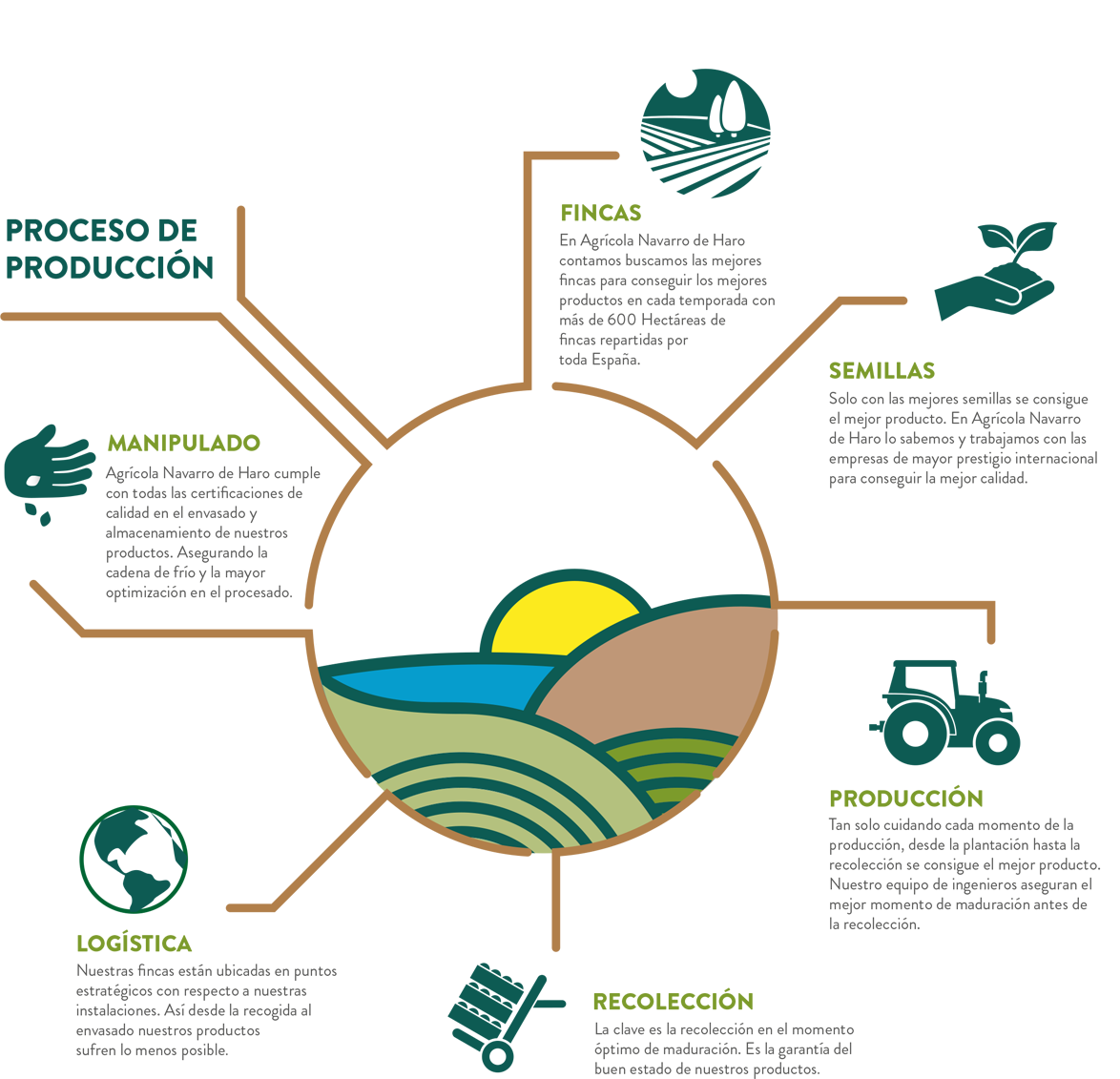 Production Process (1174x1131), Png Download