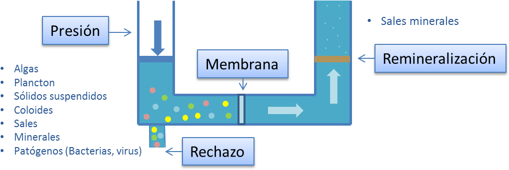 ¿en - Diagram (1039x365), Png Download