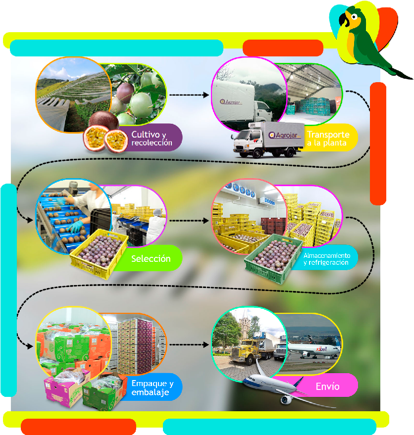 Proceso - Graphic Design (900x917), Png Download