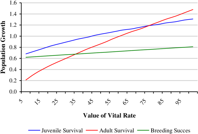 The Effects Of Changing Vital Rates On Population Growth - Diagram (850x590), Png Download