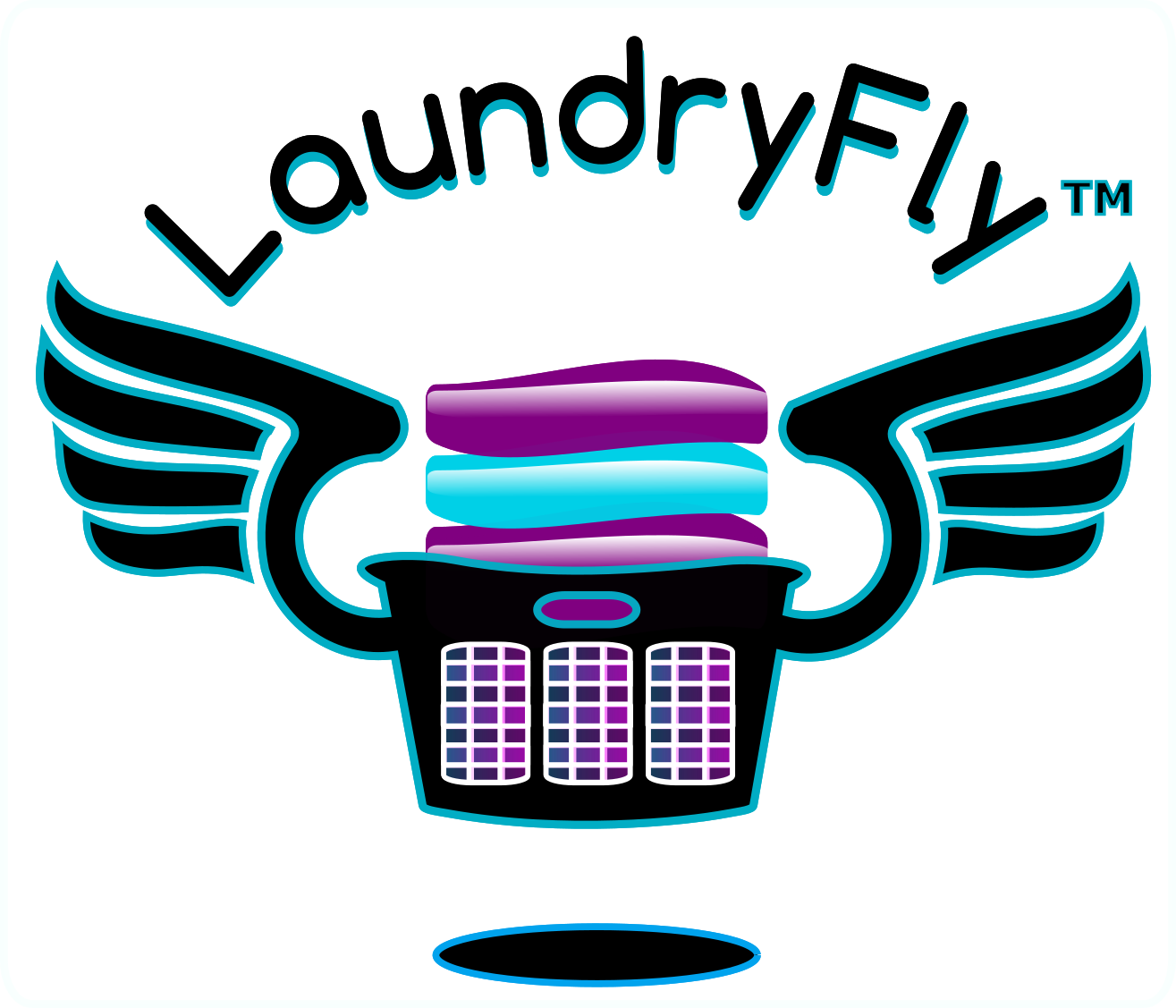 Welcome To Laundryfly Laundry Delivery - Laundry Delivery Logo (1315x1127), Png Download