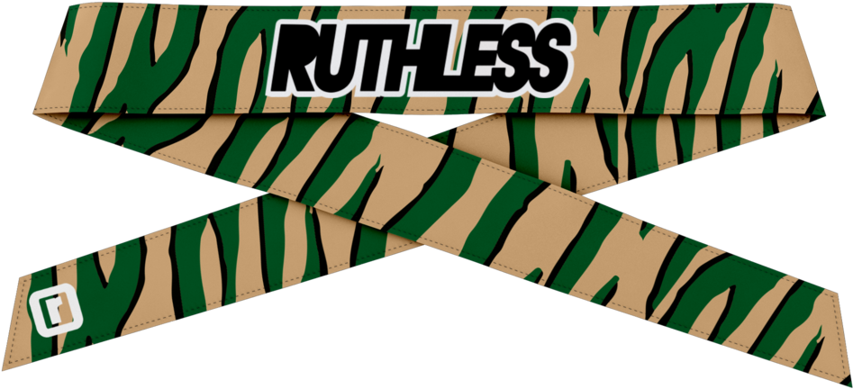 Green Zebra Headband (1024x1024), Png Download