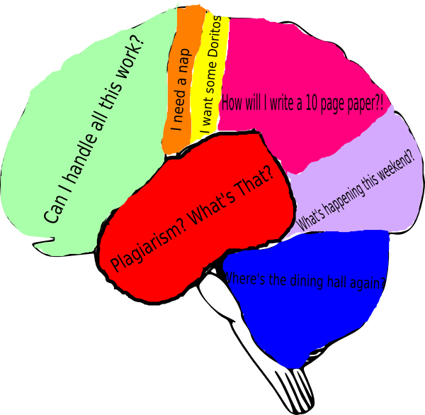 Small - Clip Art Brain Diagram (600x585), Png Download