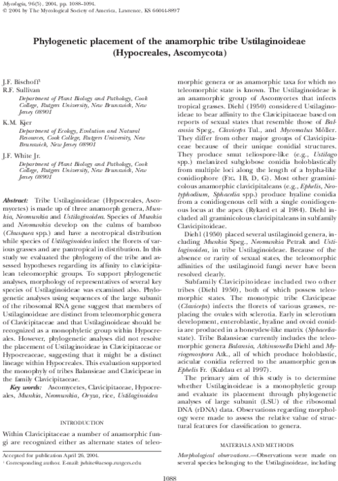 Pdf - Folio Eighteen From Burchard Of Sion's De Locis Ac (600x776), Png Download