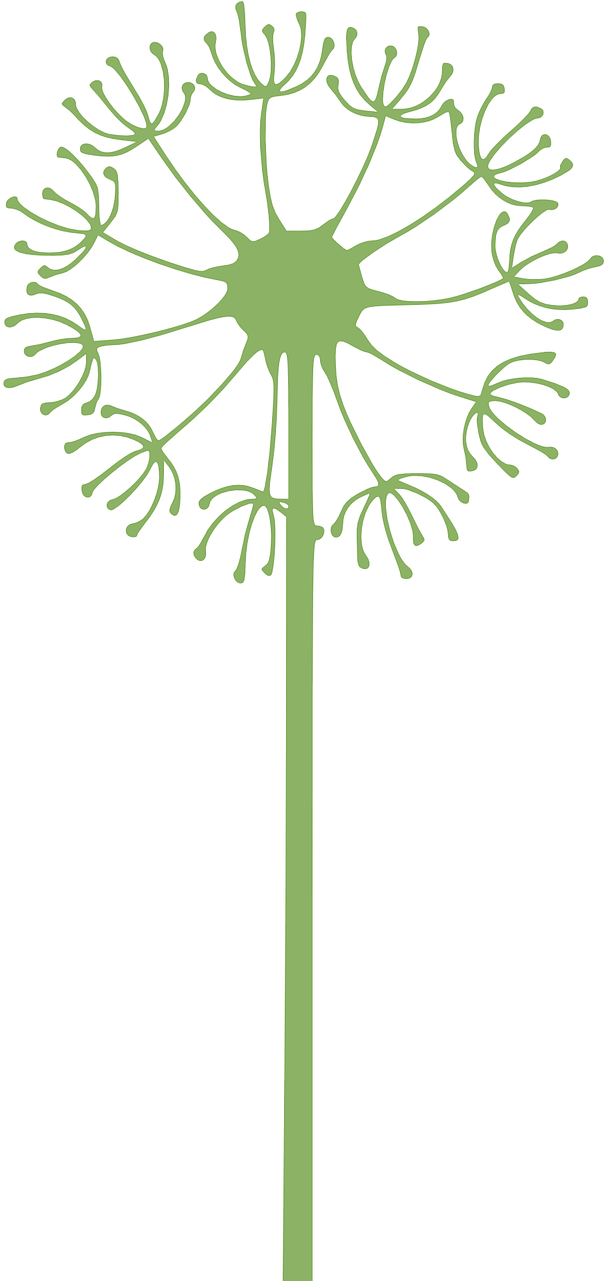 Vector Graphics, - Dientes De Leon Dibujo (640x1280), Png Download