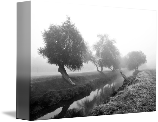 "willows In Fog" By Marek Stepan - Monochrome (650x503), Png Download