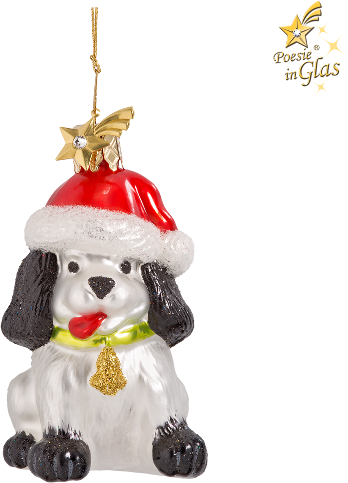 Christmas Dog - Miniature Poodle (1000x1000), Png Download