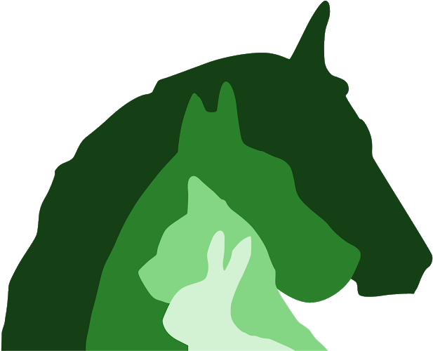 Clinique Trinaire De L'olivier Villeneuve Berg - Illustration (620x513), Png Download