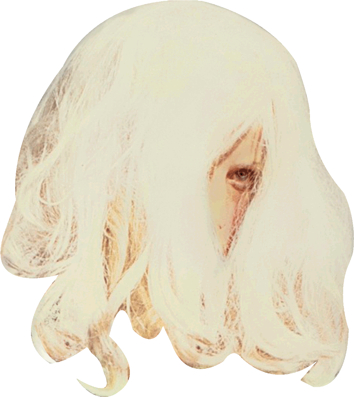 Download - Golden Retriever (1500x1495), Png Download