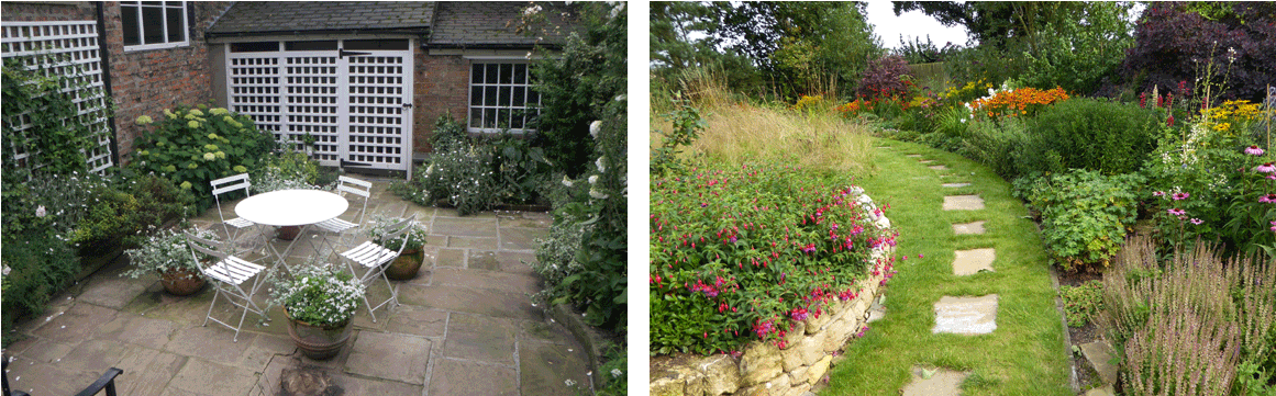 Yorkshire Garden Designer - Rosa Wichuraiana (1200x400), Png Download