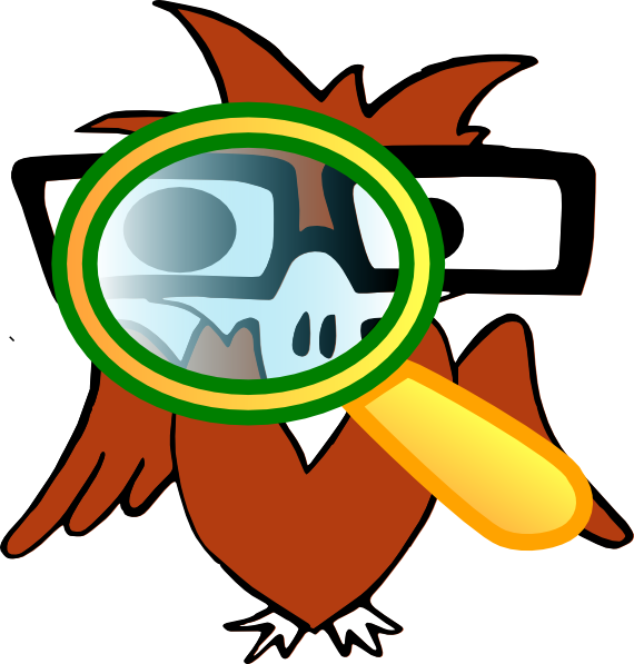 Image Freeuse Download At Getdrawings Com Free For - Clip Art Eagle Eye (570x597), Png Download