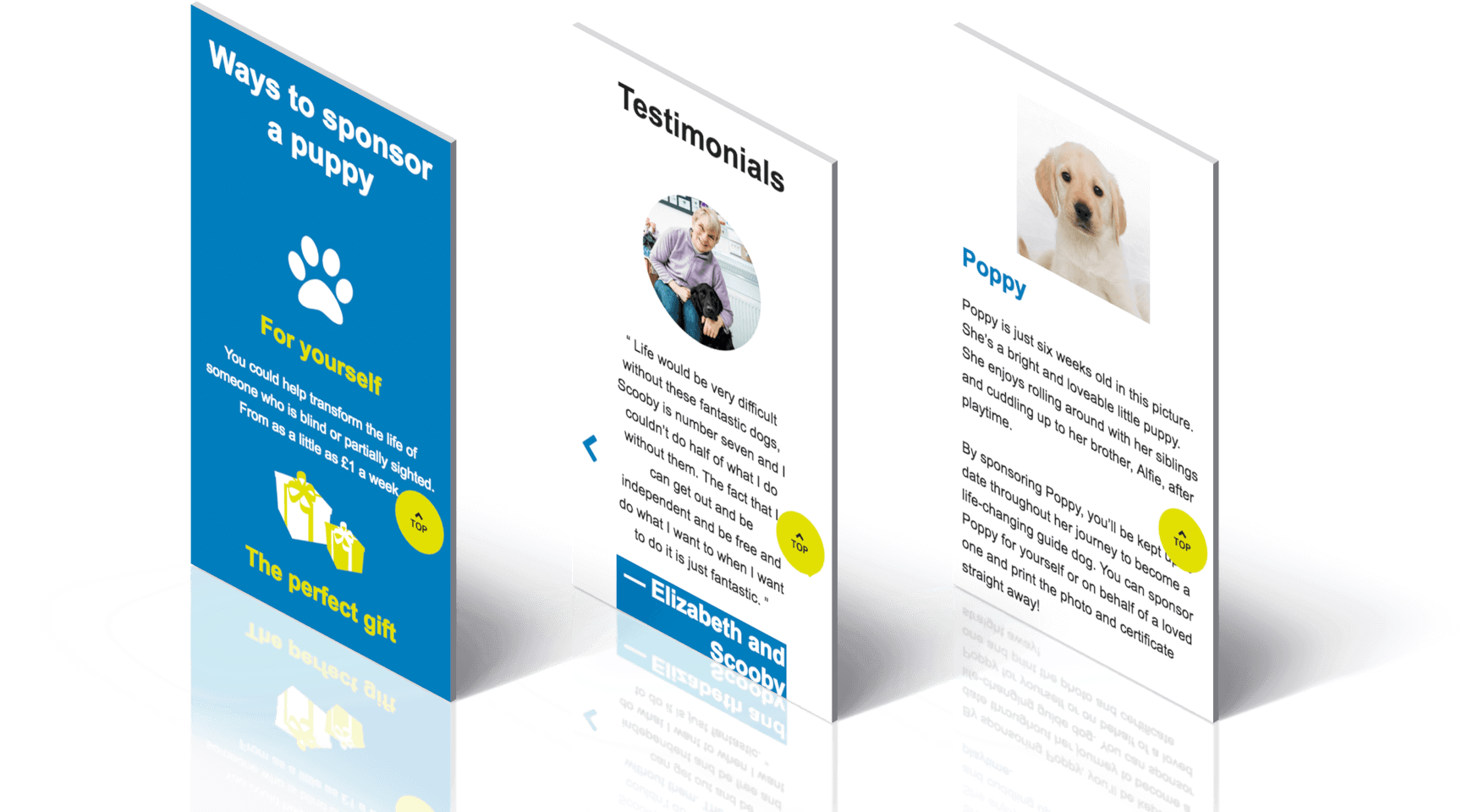 We Have Worked With Mso For Over 4 Years On A Variety - Flyer (2048x1075), Png Download