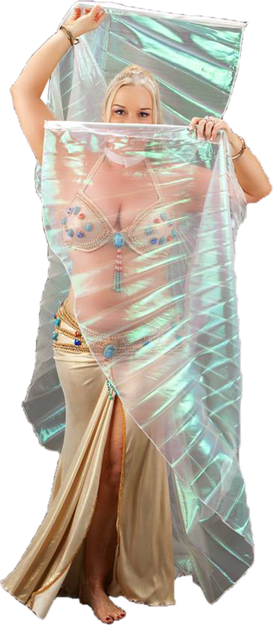 Belly Dancer Auckland - Blouse (394x902), Png Download