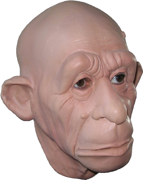 Viejo Cara De Chango (585x646), Png Download