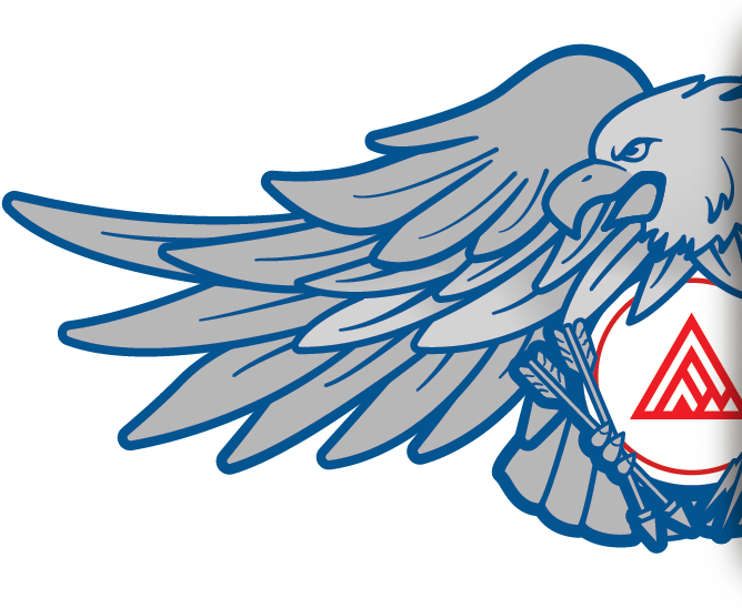 Upper Left Usa Eagle - Illustration (722x589), Png Download
