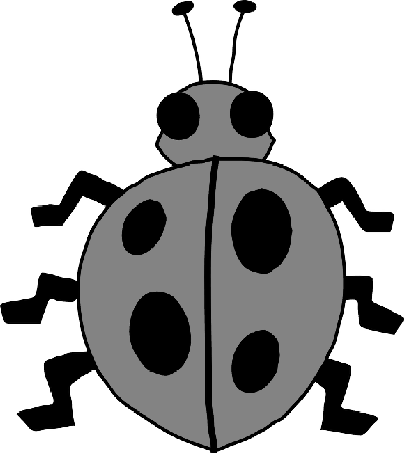 Bug Clip Art (800x895), Png Download