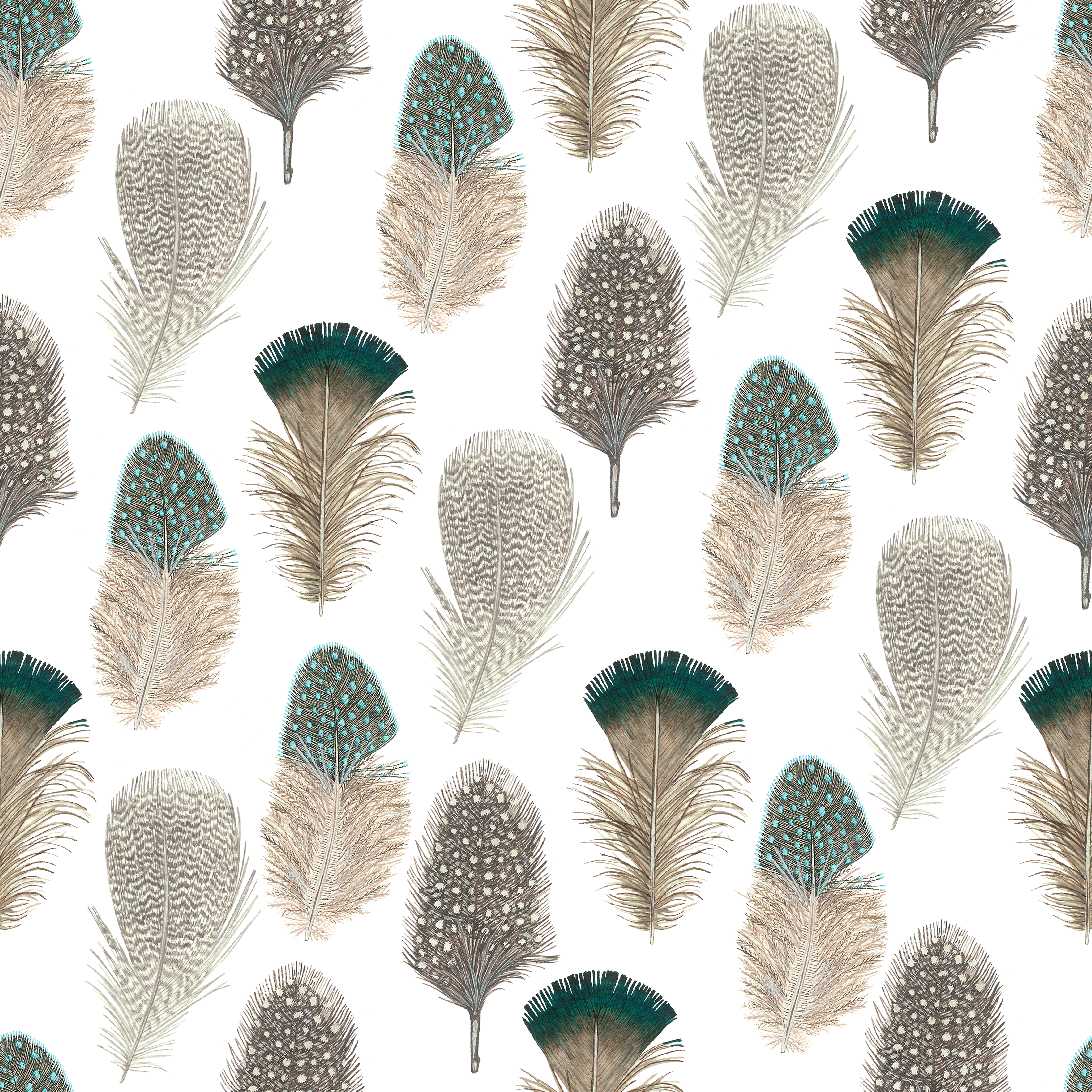 Feather Computer Graphics Tile (4167x4167), Png Download
