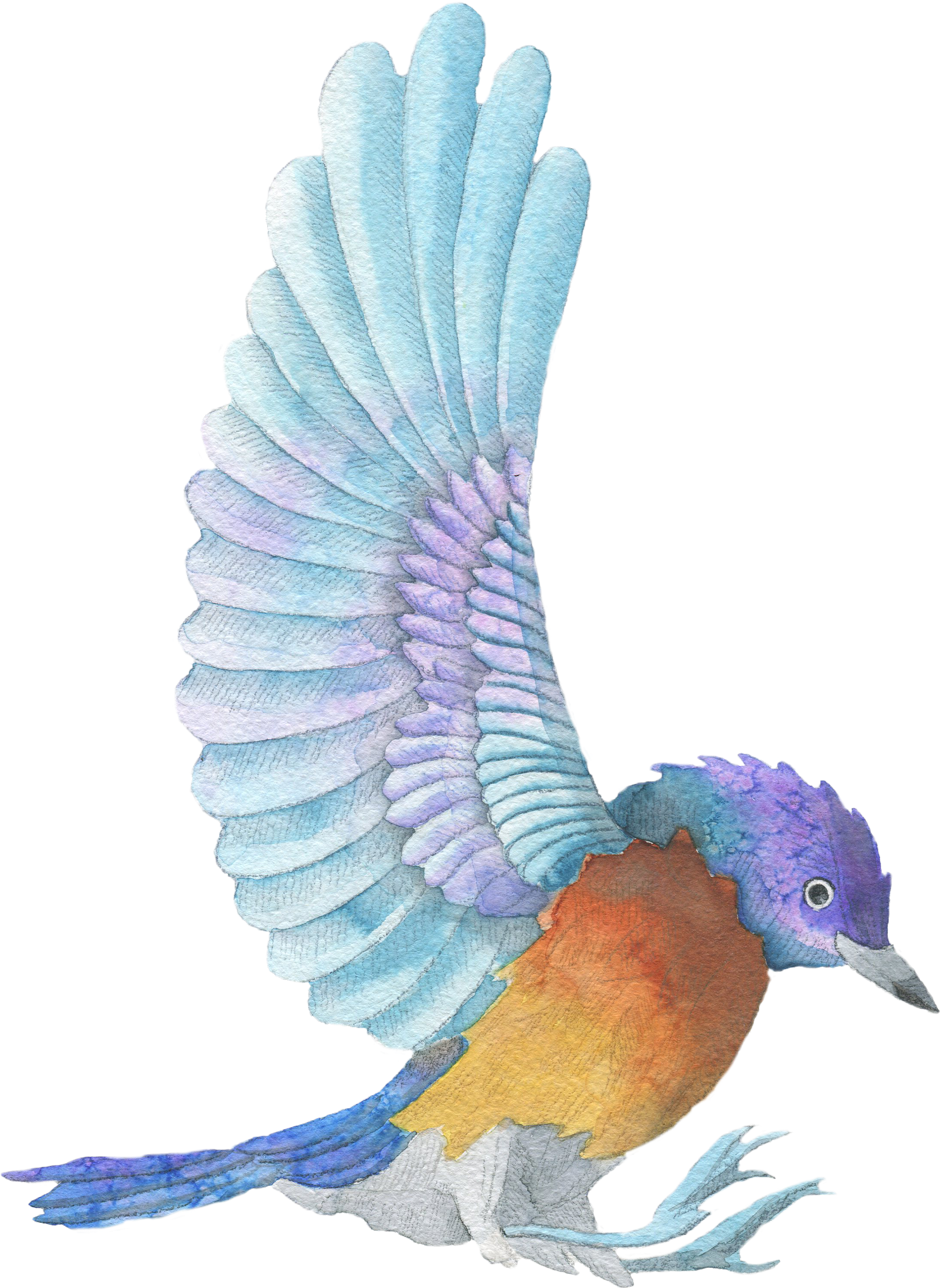 Bird - Bird Quote (2342x3079), Png Download