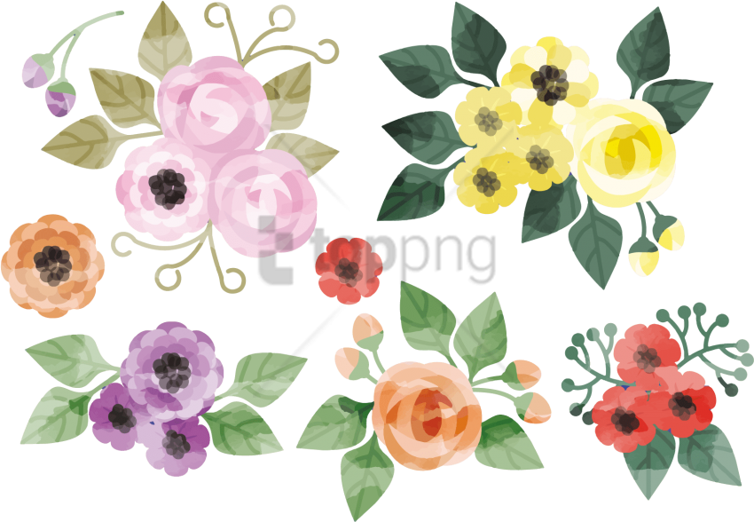 Free Png Download Flower Watercolor Vector Png Images - Water Color Flowers Vector (850x588), Png Download