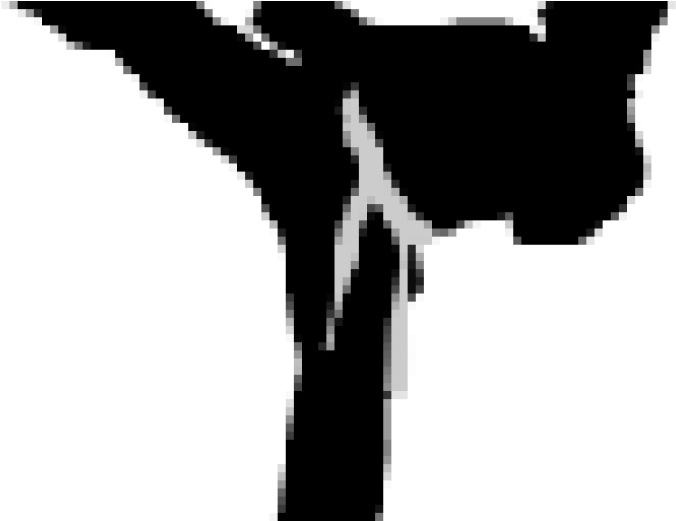 Adult Karate - Silhouette (780x520), Png Download