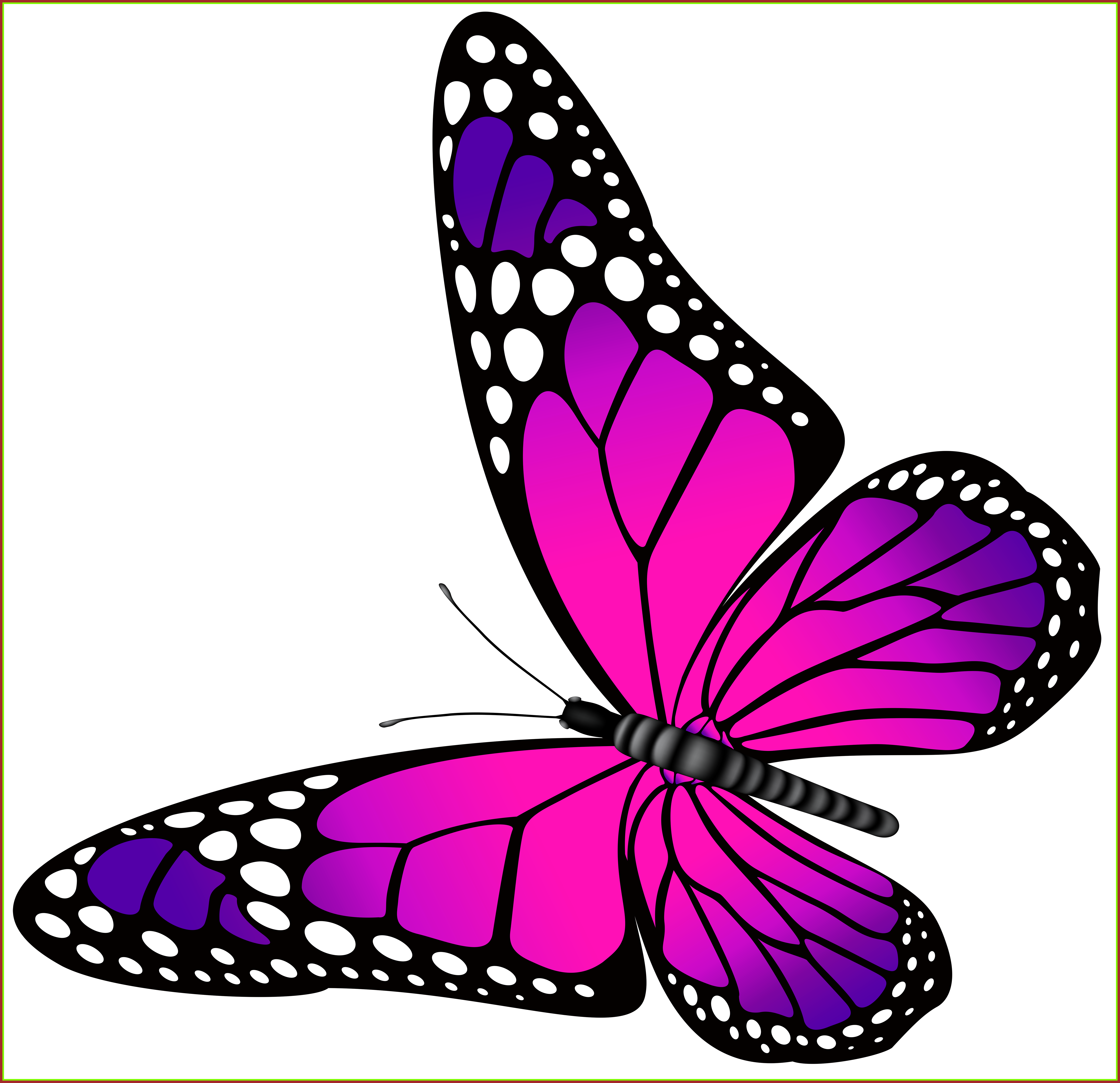 Amazing Orange Butterfly Png Clip Art Image Ⓒ (7050x6819), Png Download