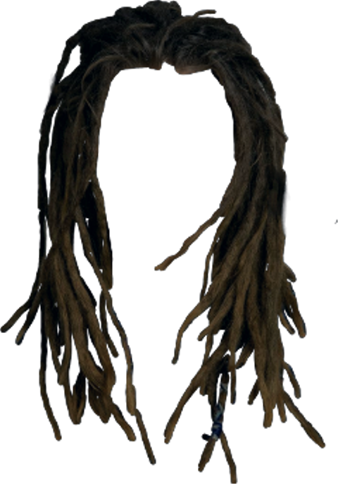 Dreadlocks Transparent Background (480x686), Png Download