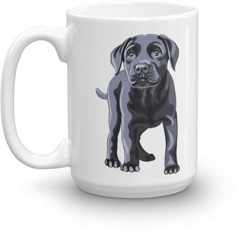 Labrador Retriever Vector (1000x1000), Png Download
