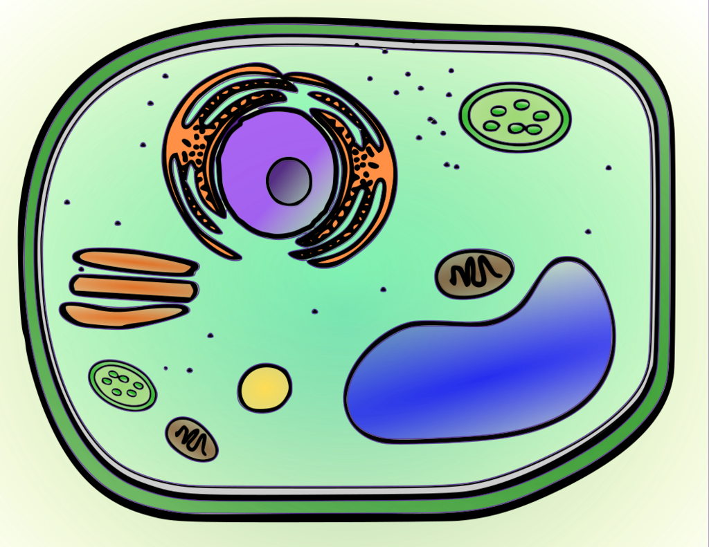 Location - Circle (1024x791), Png Download