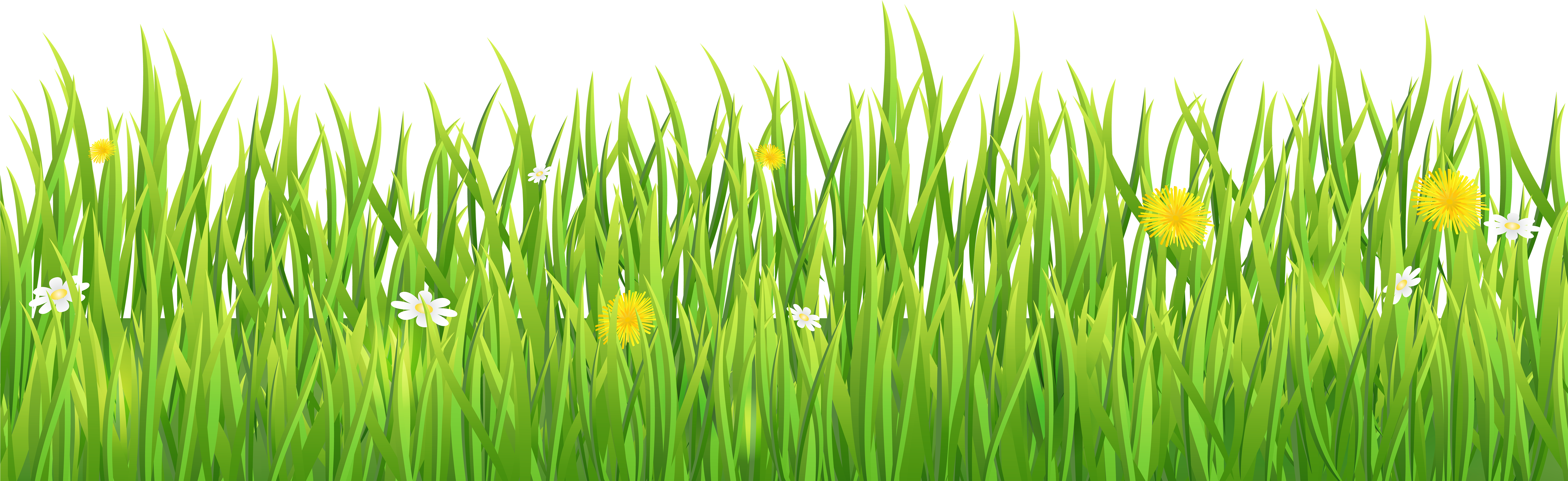Grass Png (8000x2487), Png Download
