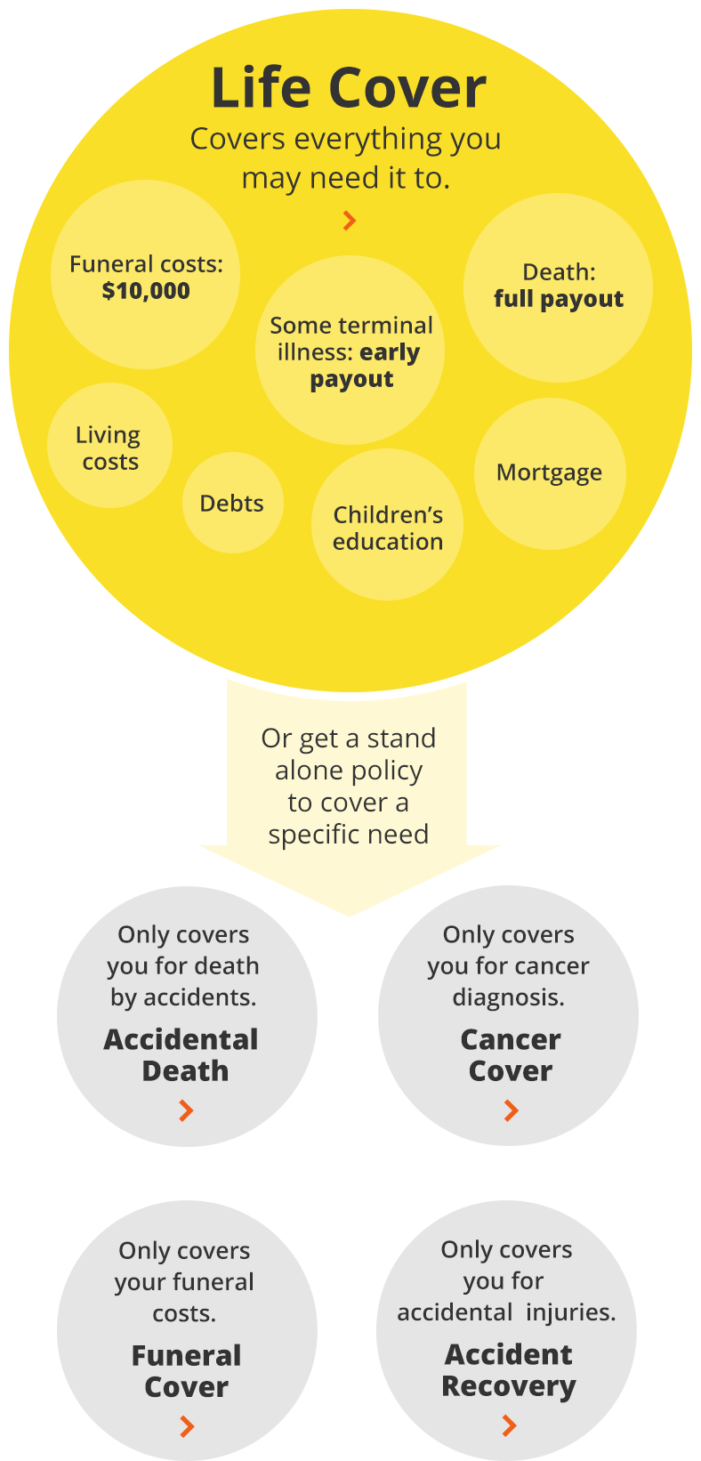 Life Cover Covers You For Death, Terminal Illness, - Circle (788x1642), Png Download