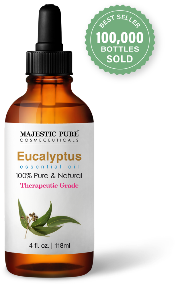 Gum Leaves (1024x1024), Png Download