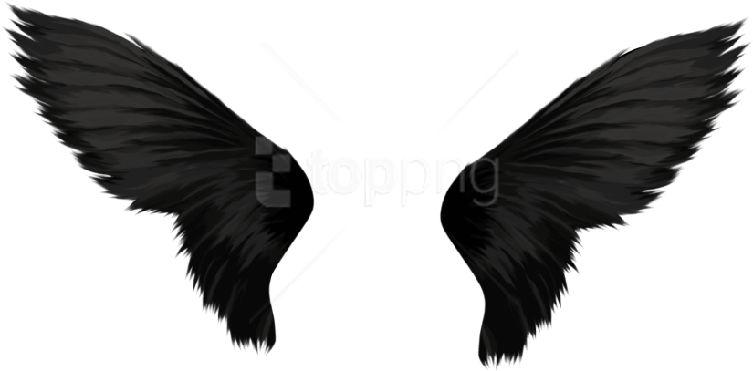 Free Png Download Black Wings Png Images Background - Transparent Background Wings Png (850x419), Png Download