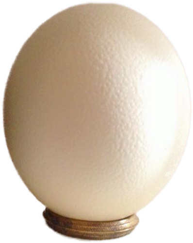 599 X 600 7 - Egg (599x600), Png Download