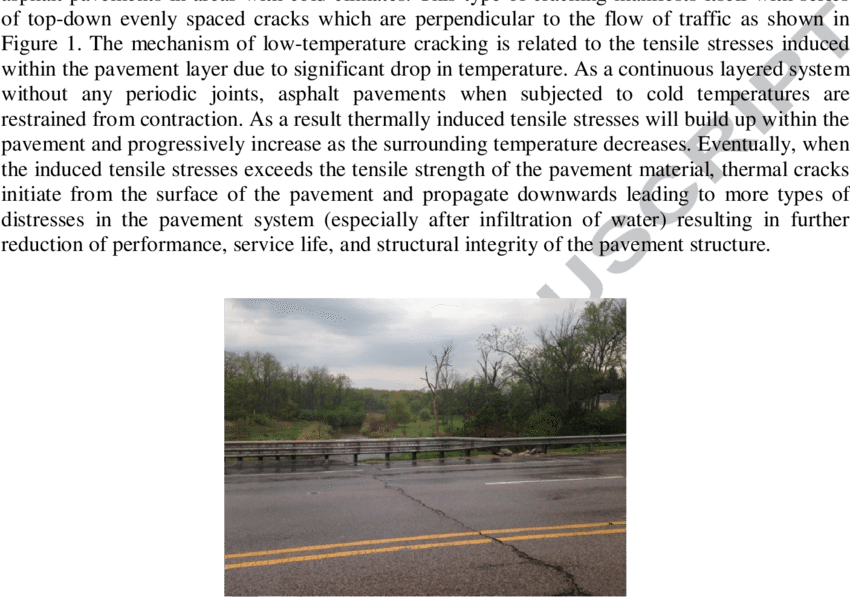 Typical Thermal Cracking In Asphalt Pavements - Tree (850x597), Png Download