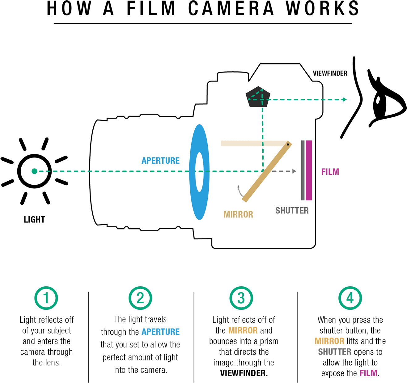A Mirror Within The Camera Body That Is Diagonally - Diagram (1500x1458), Png Download