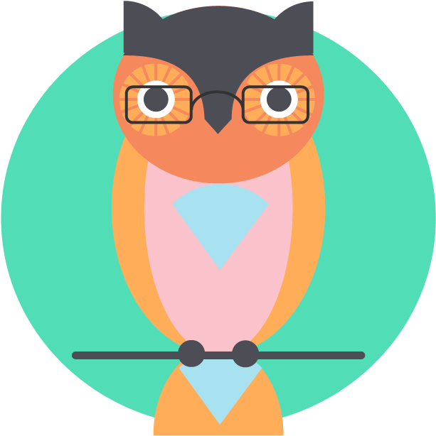 Experienced Aged Care Professionals - Eastern Screech Owl (925x924), Png Download