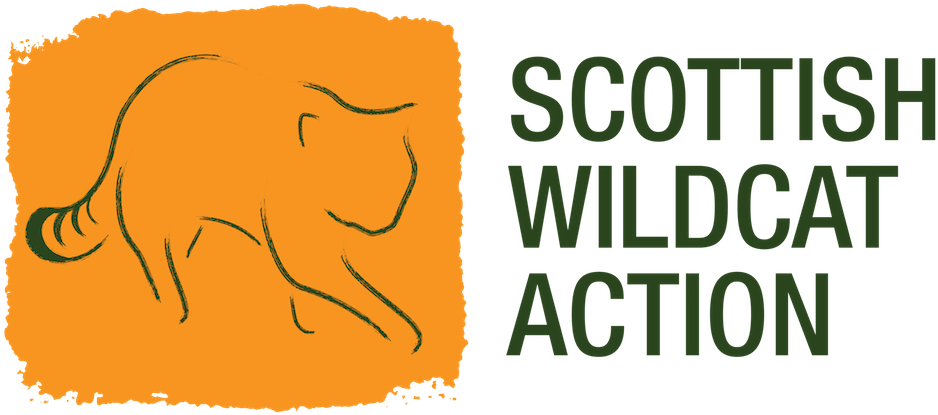 Does The Scottish Wildcat Live (1000x556), Png Download
