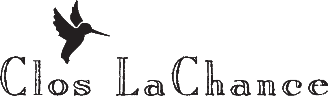 Dragon Spirits Marketing - Seabird (1200x600), Png Download