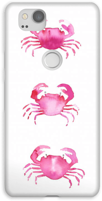 Grab A Crab Case Pixel - Freshwater Crab (484x800), Png Download