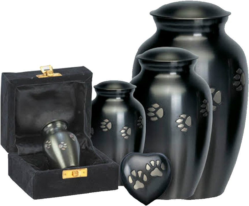Img 3466 - Vase (900x900), Png Download