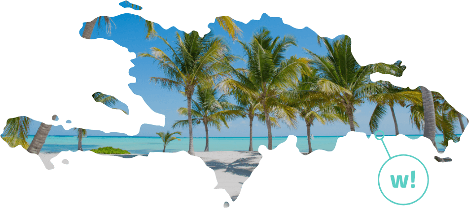 Dominican Republic - Roystonea (950x440), Png Download