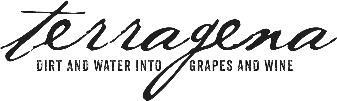 Terragena Vineyard - Nina Star Academy 8 (1465x472), Png Download