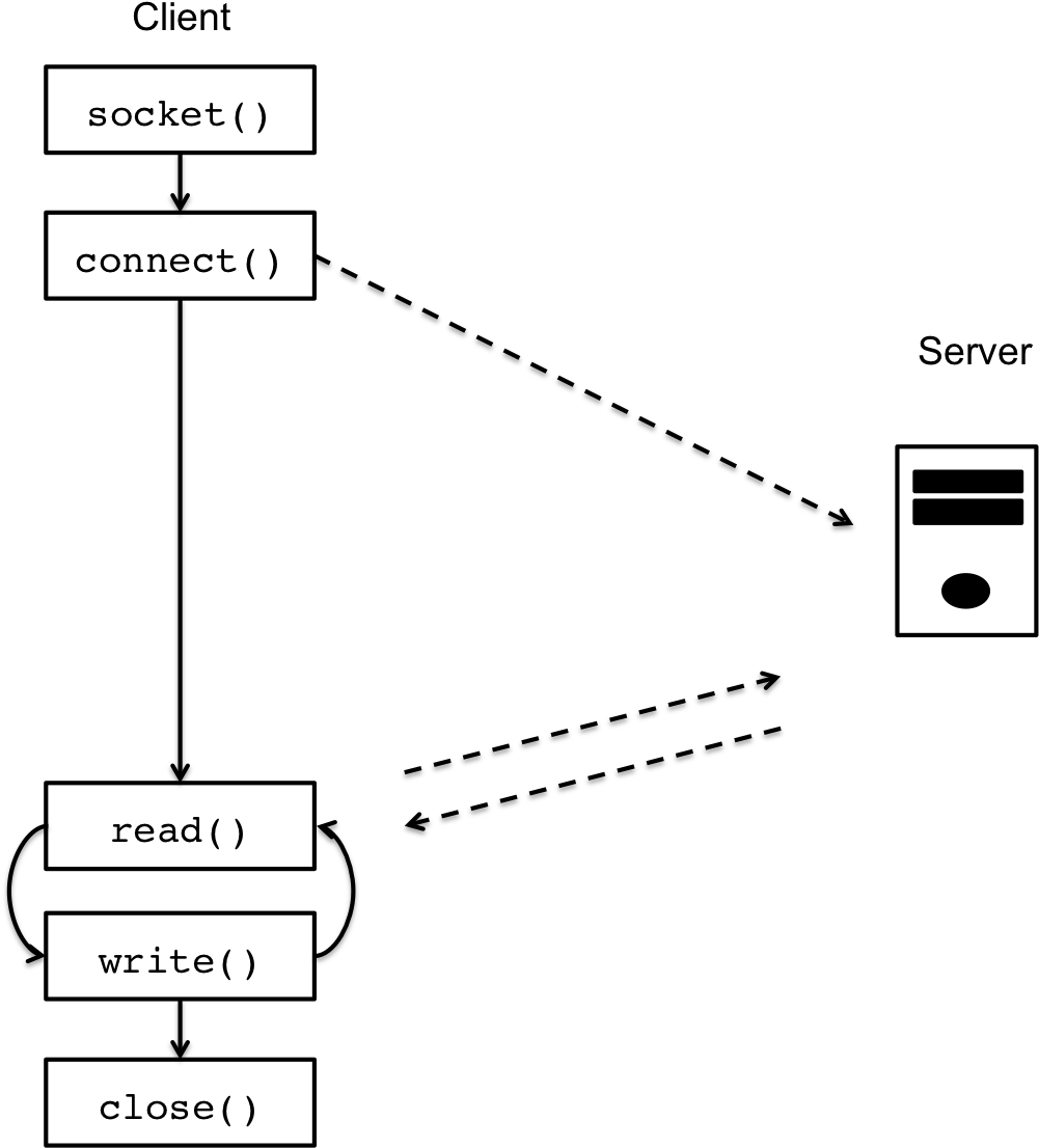 Download Lec23 Client Socket - Diagram - Full Size PNG Image - PNGkit