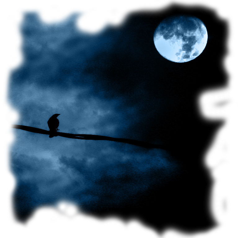 Zubair Siddiq - Good Night Allah Hafiz (768x768), Png Download