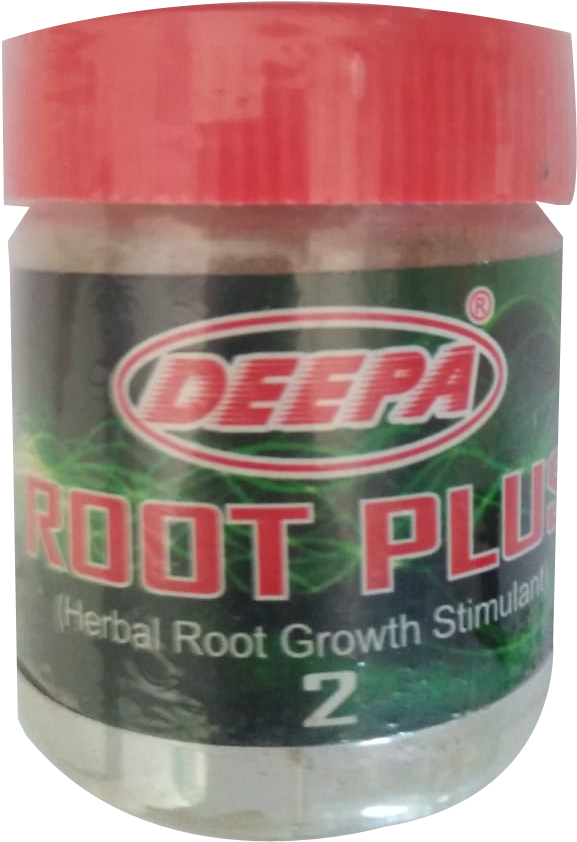 Root - Acrylic Paint (1648x1644), Png Download