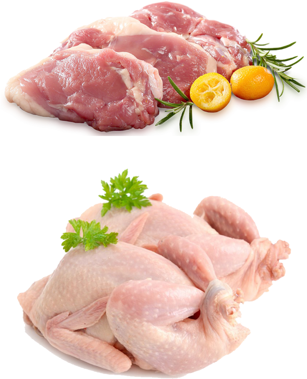Download Image Turkey Meat Full Size PNG Image PNGkit