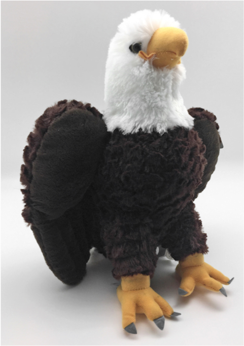 Bald Eagle Plush - Bald Eagle (700x700), Png Download